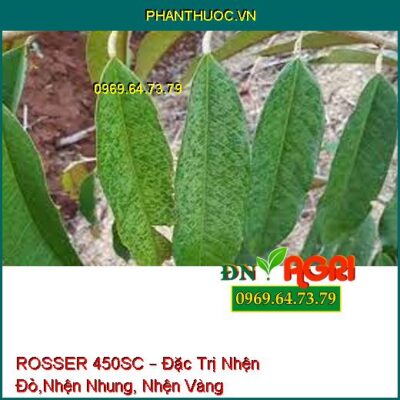 ROSSER 450SC – Đặc Trị Nhện Đỏ,Nhện Nhung, Nhện Vàng