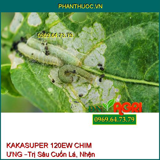 KAKASUPER 120EW CHIM ƯNG –Trị Sâu Cuốn Lá, Nhện Đỏ