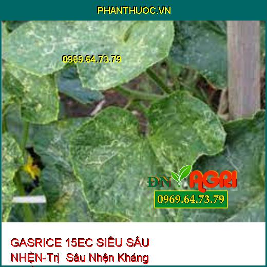 GASRICE 15EC SIÊU SÂU NHỆN-Trị Sâu Nhện Kháng Thuốc