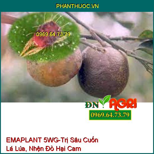 EMAPLANT 5WG-Trị Sâu Cuốn Lá Lúa, Nhện Đỏ Hại Cam