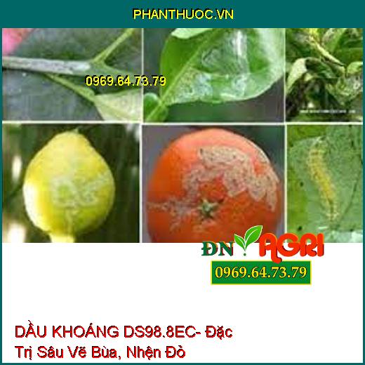 DẦU KHOÁNG DS98.8EC- Đặc Trị Sâu Vẽ Bùa, Nhện Đỏ