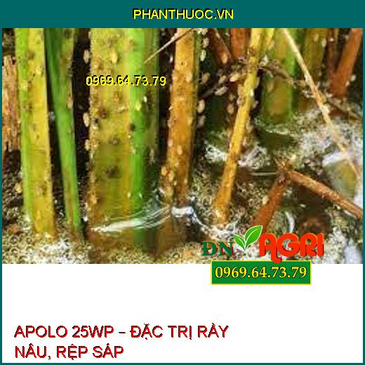 APOLO 25WP – ĐẶC TRỊ RẦY NÂU, RỆP SÁP