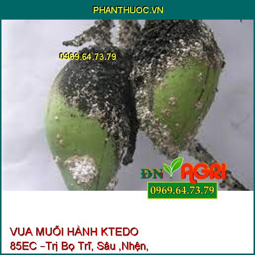 VUA MUỖI HÀNH KTEDO 85EC –Trị Bọ Trĩ, Sâu ,Nhện, Rệp, Rầy