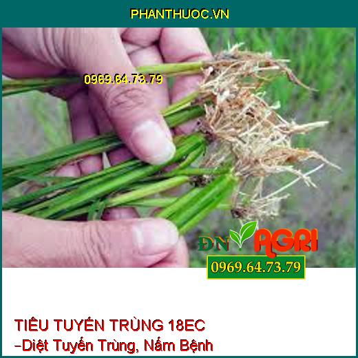 TIÊU TUYẾN TRÙNG 18EC –Diệt Tuyến Trùng, Nấm Bệnh