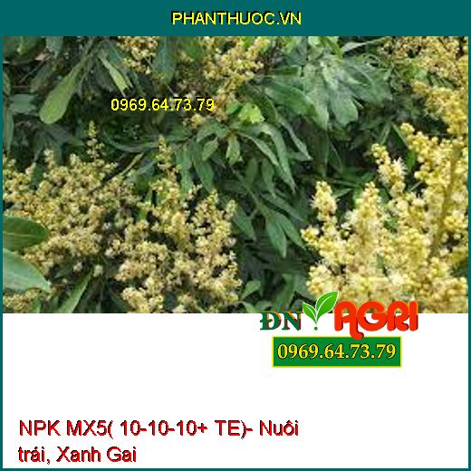 NPK MX5( 10-10-10+ TE)- Nuôi trái, Xanh Gai