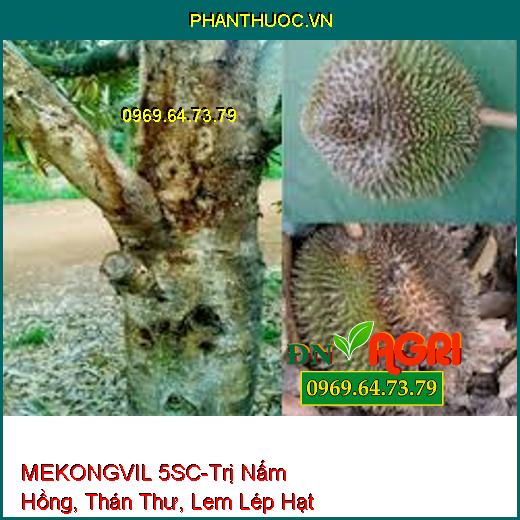 MEKONGVIL 5SC-Trị Nấm Hồng, Thán Thư, Lem Lép Hạt