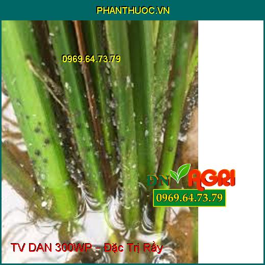 TV DAN 300WP – Đặc Trị Rầy