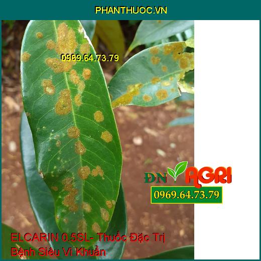 ELCARIN 0.5SL- Thuốc Đặc Trị Bệnh Siêu Vi Khuẩn