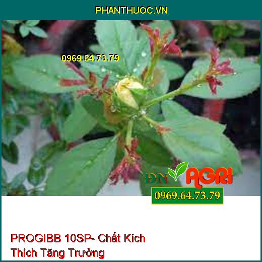 PROGIBB 10SP- Chất Kích Thích Tăng Trưởng