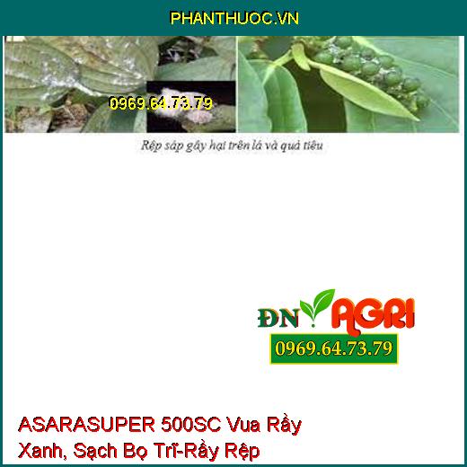 ASARASUPER 500SC Vua Rầy Xanh, Sạch Bọ Trĩ-Rầy Rệp