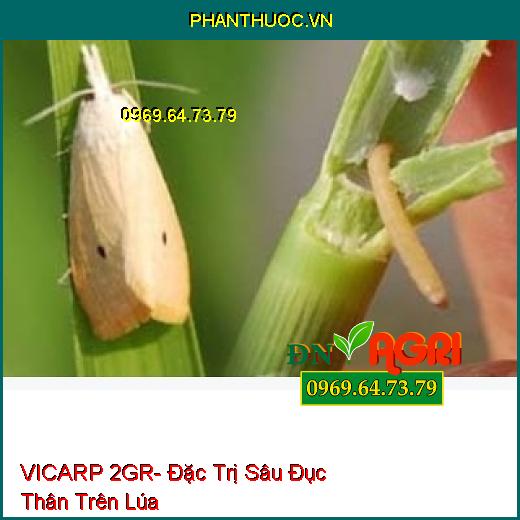 VICARP 2GR- Đặc Trị Sâu Đục Thân Trên Lúa