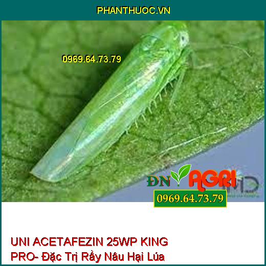 UNI ACETAFEZIN 25WP KING PRO- Đặc Trị Rầy Nâu Hại Lúa