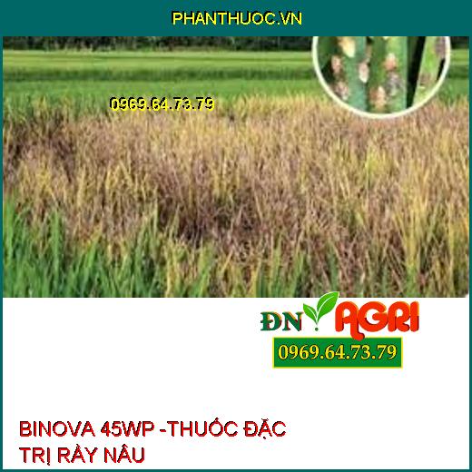 BINOVA 45WP -THUỐC ĐẶC TRỊ RẦY NÂU