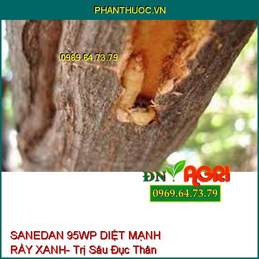 SANEDAN 95WP DIỆT MẠNH RẦY XANH- Trị Sâu Đục Thân