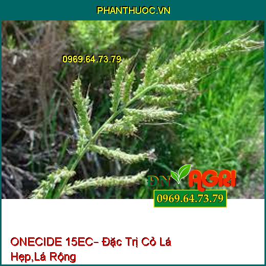 ONECIDE 15EC– Đặc Trị Cỏ Lá Hẹp,Lá Rộng