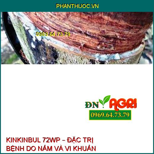 KINKINBUL 72WP – ĐẶC TRỊ BỆNH DO NẤM VÀ VI KHUẨN