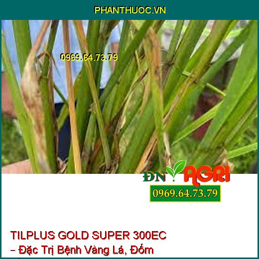 TILPLUS GOLD SUPER 300EC – Đặc Trị Bệnh Vàng Lá, Đốm Vằn