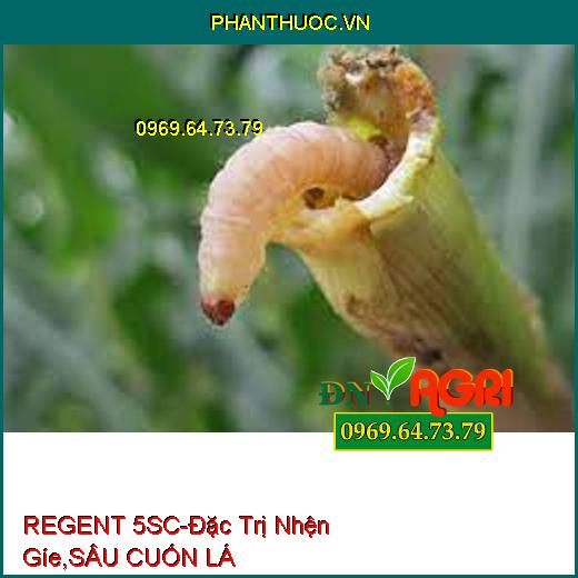 REGENT 5SC-Đặc Trị Nhện Gíe,SÂU CUỐN LÁ