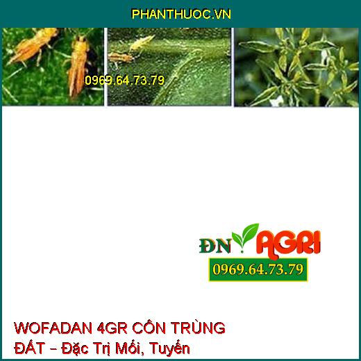 WOFADAN 4GR CÔN TRÙNG ĐẤT – Đặc Trị Mối, Tuyến Trùng, Rệp