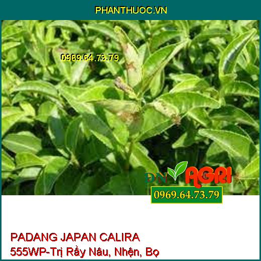 PADANG JAPAN CALIRA 555WP-Trị Rầy Nâu, Nhện, Bọ Trĩ