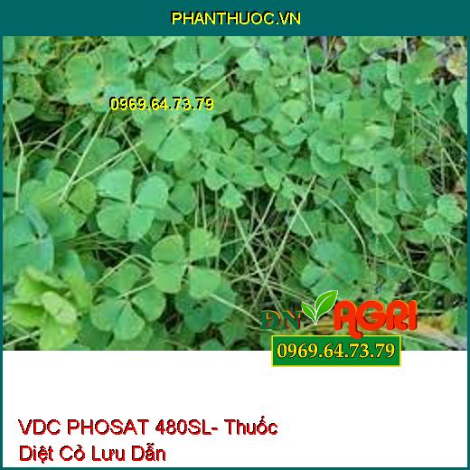 VDC PHOSAT 480SL- Thuốc Diệt Cỏ Lưu Dẫn