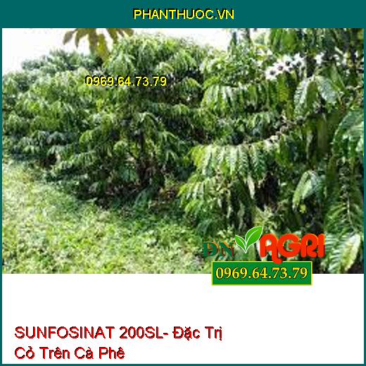 SUNFOSINAT 200SL- Đặc Trị Cỏ Trên Cà Phê