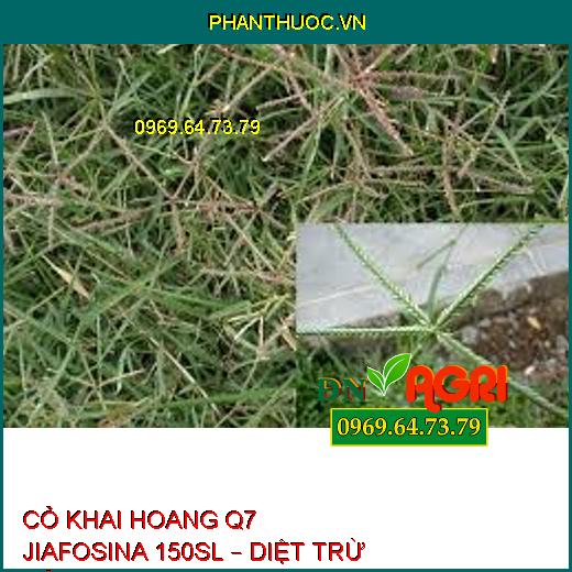 CỎ KHAI HOANG Q7 JIAFOSINA 150SL – DIỆT TRỪ CỎ