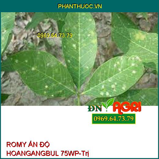 ROMY ẤN ĐỘ HOANGANGBUL 75WP-Trị Sương Mai, Xì Mủ