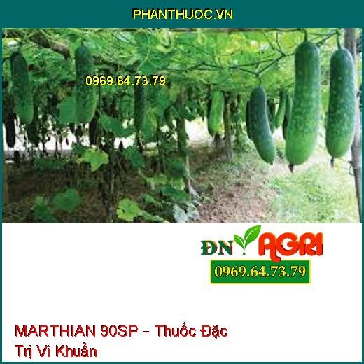 MARTHIAN 90SP – Thuốc Đặc Trị Vi Khuẩn