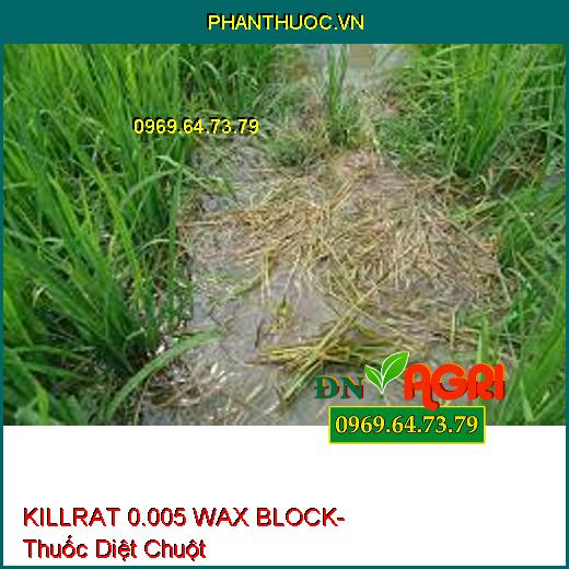 KILLRAT 0.005 WAX BLOCK- Thuốc Diệt Chuột