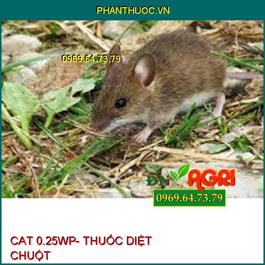 CAT 0.25WP- THUỐC DIỆT CHUỘT