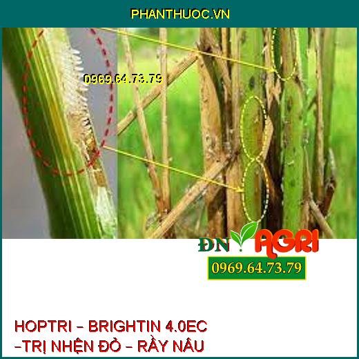 HOPTRI – BRIGHTIN 4.0EC –TRỊ NHỆN ĐỎ – RẦY NÂU