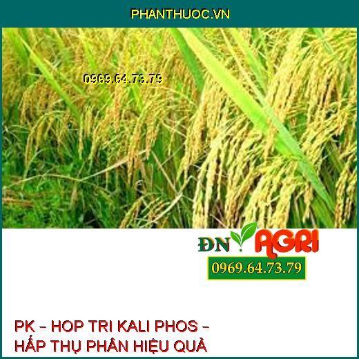 PK – HOP TRI KALI PHOS – HẤP THỤ PHÂN HIỆU QUẢ