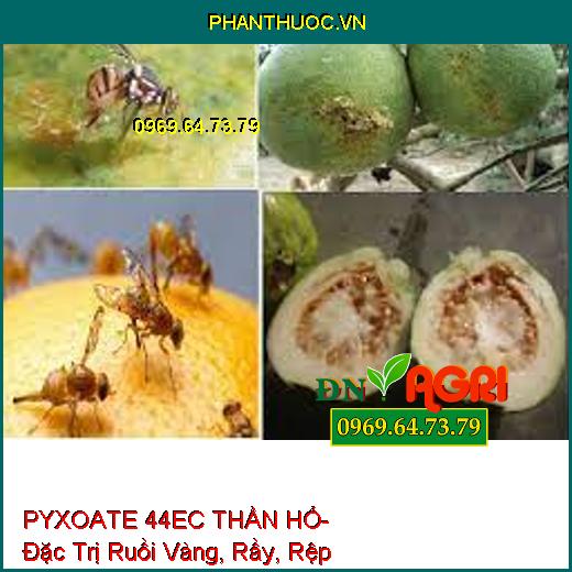 PYXOATE 44EC THẦN HỔ- Đặc Trị Ruồi Vàng, Rầy, Rệp