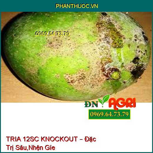 TRIA 12SC KNOCKOUT – Đặc Trị Sâu,Nhện Gíe