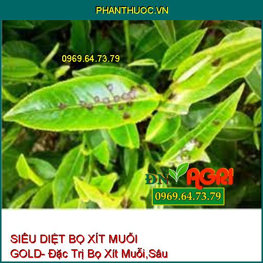 SIÊU DIỆT BỌ XÍT MUỖI GOLD- Đặc Trị Bọ Xít Muỗi,Sâu