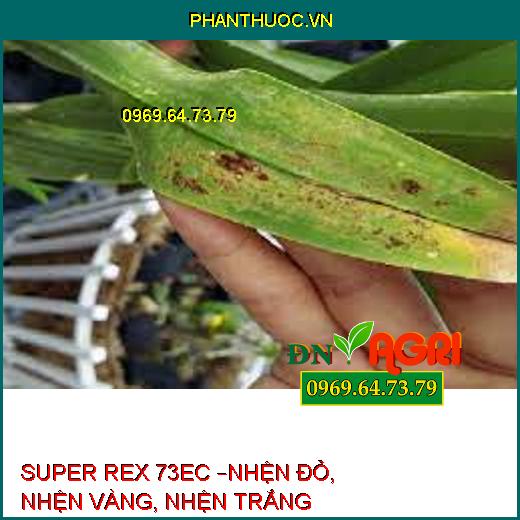 SUPER REX 73EC –NHỆN ĐỎ, NHỆN VÀNG, NHỆN TRẮNG