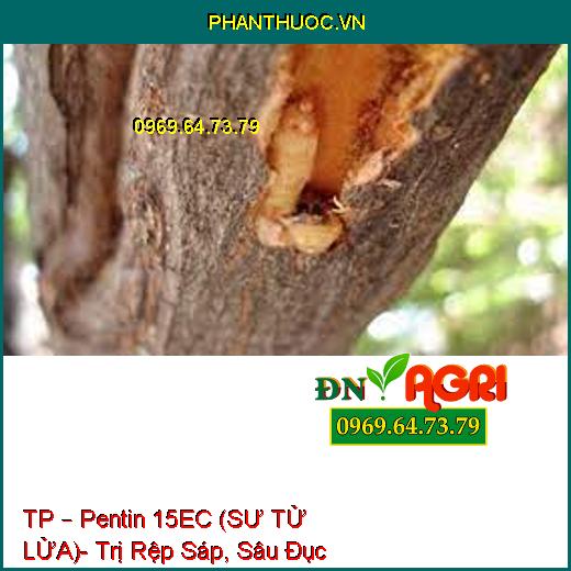 TP – Pentin 15EC (SƯ TỬ LỬA)- Trị Rệp Sáp, Sâu Đục Thân