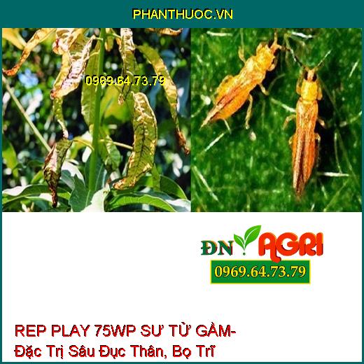 REP PLAY 75WP SƯ TỬ GẦM- Đặc Trị Sâu Đục Thân, Bọ Trĩ