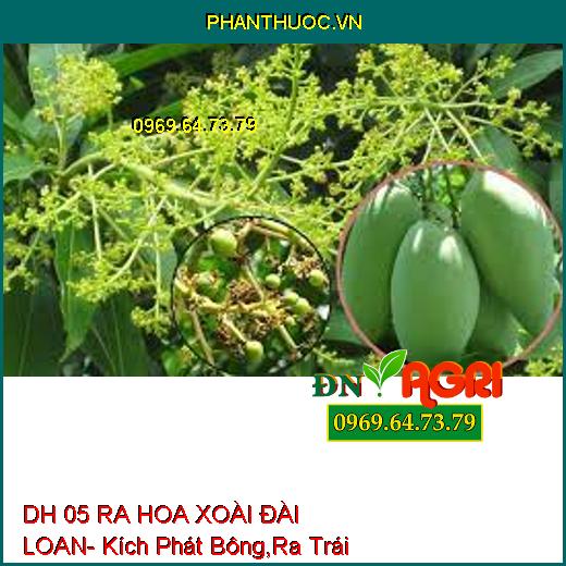 DH 05 RA HOA XOÀI ĐÀI LOAN- Kích Phát Bông,Ra Trái