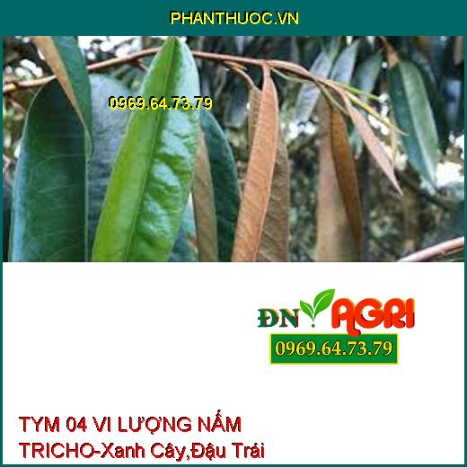 TYM 04 VI LƯỢNG NẤM TRICHO-Xanh Cây,Đậu Trái