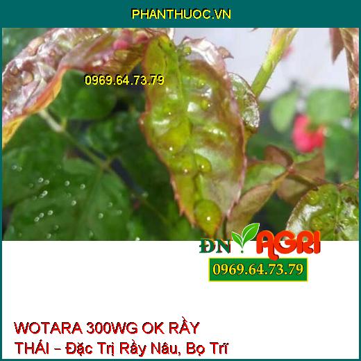 WOTARA 300WG OK RẦY THÁI – Đặc Trị Rầy Nâu, Bọ Trĩ