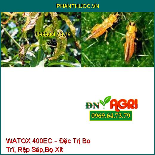 WATOX 400EC – Đặc Trị Bọ Trĩ, Rệp Sáp,Bọ Xít