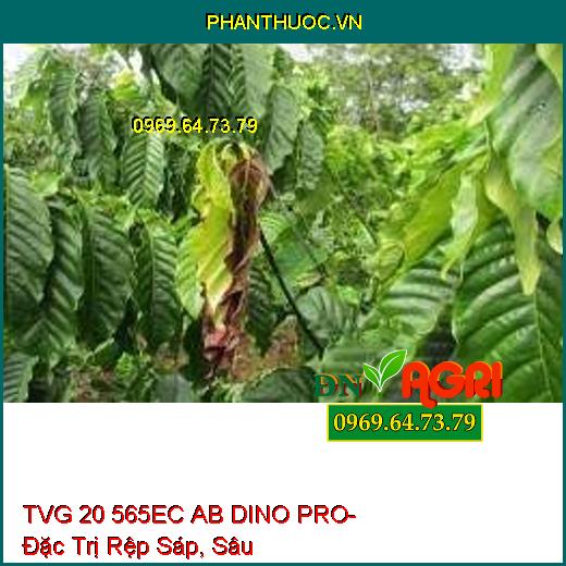 TVG 20 565EC AB DINO PRO- Đặc Trị Rệp Sáp, Sâu