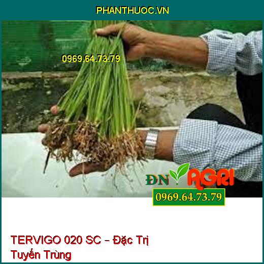 TERVIGO 020 SC – Đặc Trị Tuyến Trùng