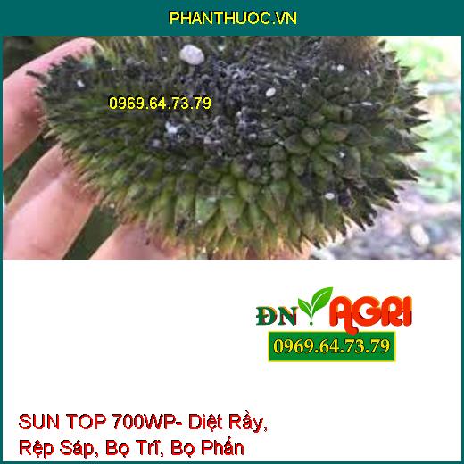 SUN TOP 700WP- Diệt Rầy, Rệp Sáp, Bọ Trĩ, Bọ Phấn