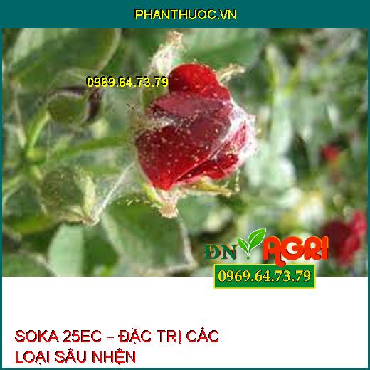 SOKA 25EC – ĐẶC TRỊ CÁC LOẠI SÂU NHỆN