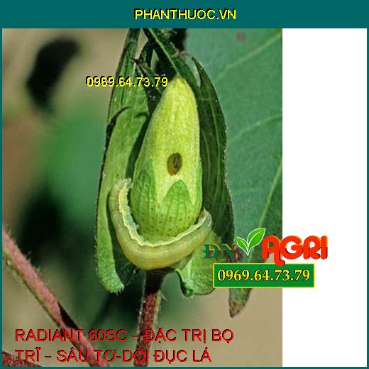 RADIANT 60SC – ĐẶC TRỊ BỌ TRĨ – SÂU TƠ-DÒI ĐỤC LÁ