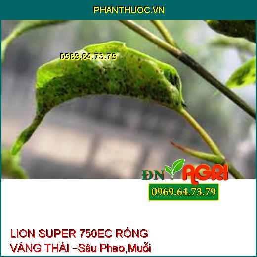 LION SUPER 750EC RỒNG VÀNG THÁI –Sâu Phao,Muỗi Hành