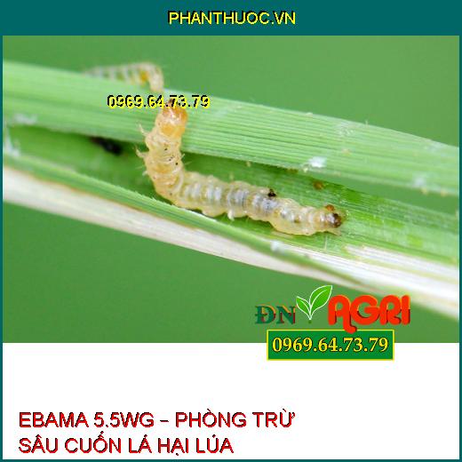 EBAMA 5.5WG – PHÒNG TRỪ SÂU CUỐN LÁ HẠI LÚA